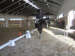 img_6115_web